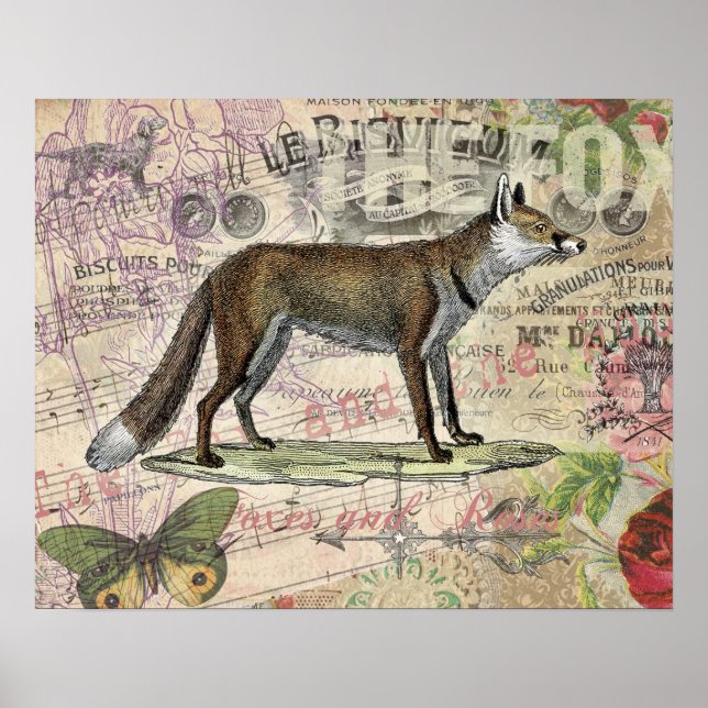 Poster Fox Wildlife Collage Vintage Illustration (Frente)