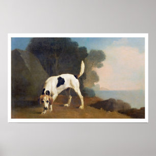 Poster Foxhound farejando, c.1760 (óleo sobre papel sobre