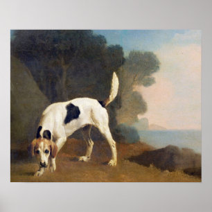 Pôster Foxhound no perfume, c.1760 de George Stubbs  
