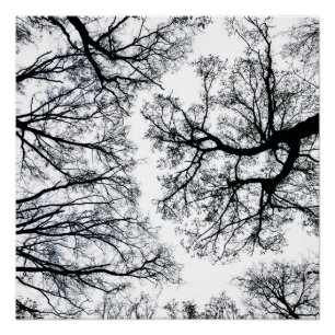 Pôster Fractal de Zwollenaar