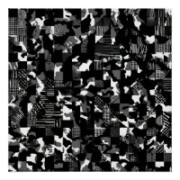 "Fractura" - Padrão de Camuflagem Preto e Branco 