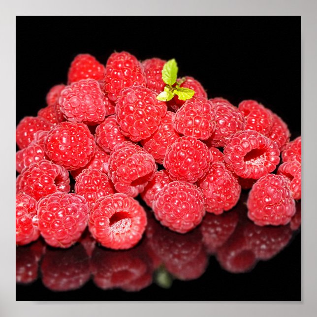 Poster framboesa, comida, fruta, baga, maduro, fresco, (Frente)