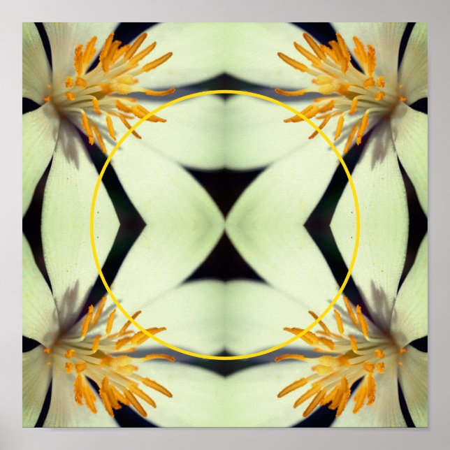 Poster Frame de Flor de Raízes de Sangue Brancas Crie sua (Frente)