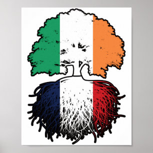 Poster França Irlanda Francês, Árvore Rota Bandeira