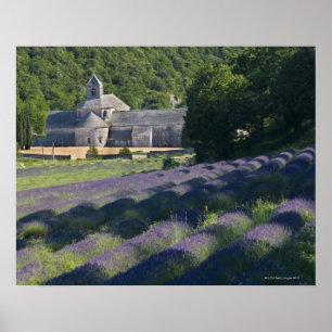 Poster France, Gordes, abadia de Senaque, campo da