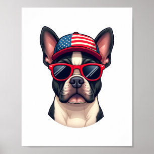Poster Francês Vestindo Cores dos EUA (4)