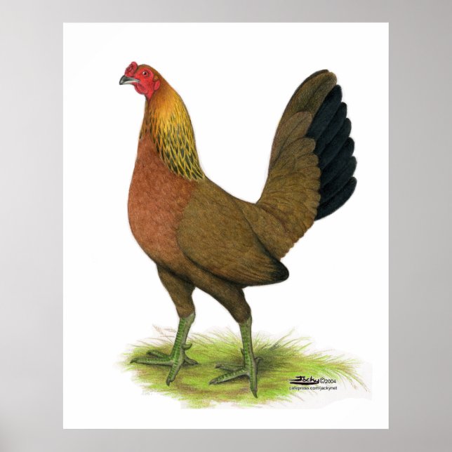 Poster Franga de Briga:  Crista de ervilha (Frente)