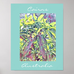 Poster Frangipani Tree Cairns Austrália tropical