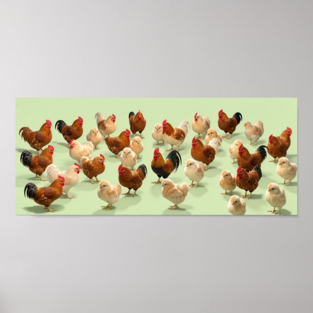 Poster Frango em fundo verde claro (Frente)