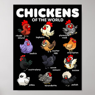 Poster Frangos Do Mundo Desenho Animado Divertido Raças D