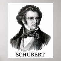 Franz Schubert, negro