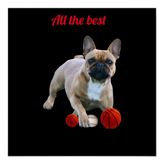 Pôster Französische Bulldogge Poster (Frente)