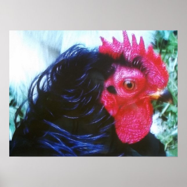 Pôster Frasco Preto (Invisível) (Frente)