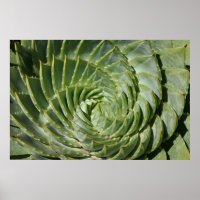 Fraturas da Natureza