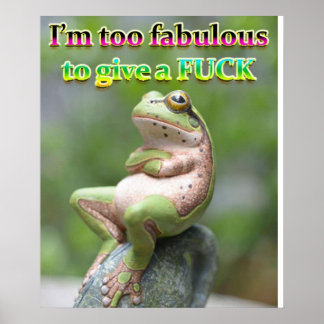 POSTER FREDDIE DE SAPO FAB