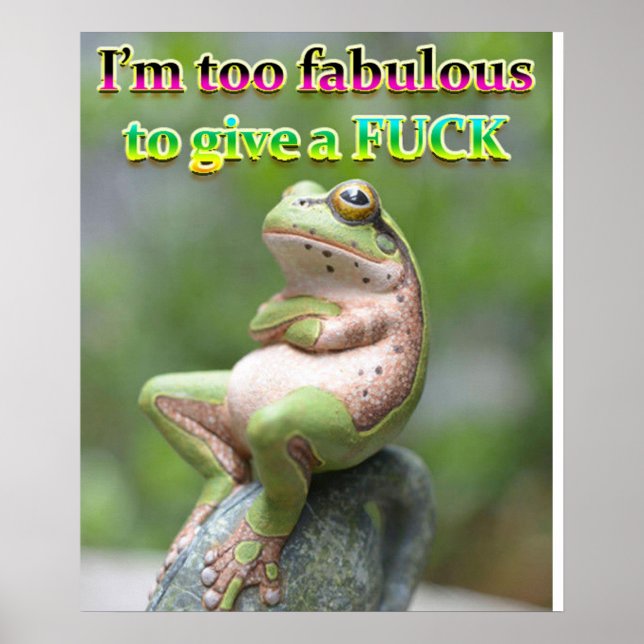 POSTER FREDDIE DE SAPO FAB (Frente)