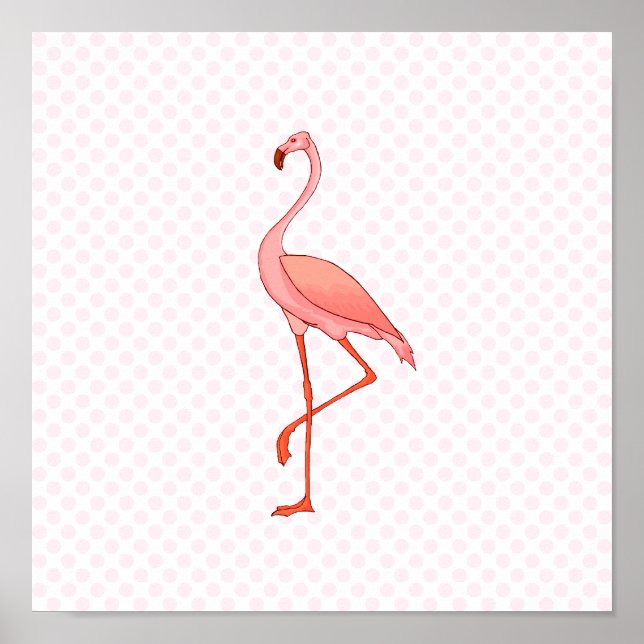 Pôster Frederick Flamingo (Frente)