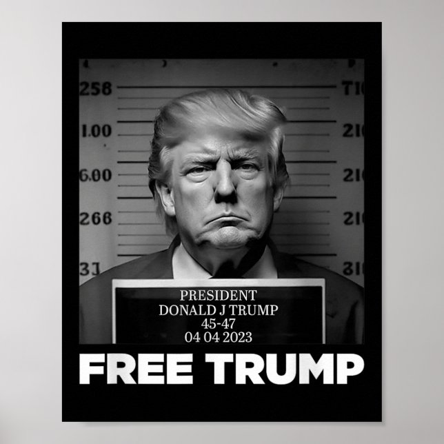 Poster Free Donald Trump Mugshot (Frente)