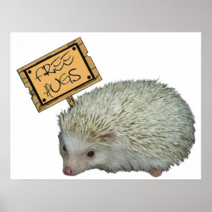 Pôster Free Hugs Hedgehog