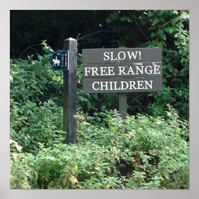 Poster Free Range Children sign, divertido (Frente)