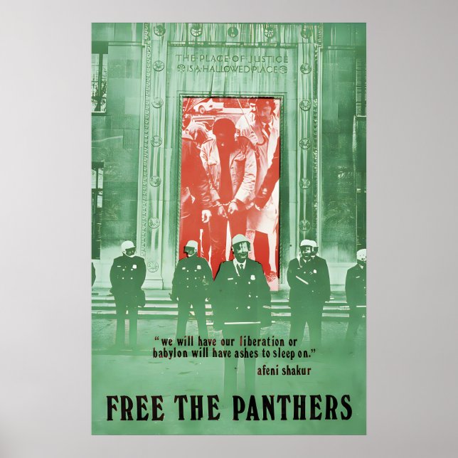Poster Free the Black Panthers We will have our (Frente)