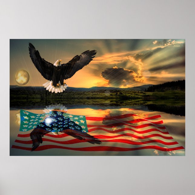 Pôster Freedom-Eagle-W-Flag-W-Star-burst-2010 (Frente)