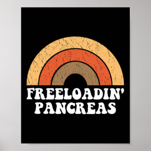 Poster Freeloadin Pancreas Diabetes Tipo 1 Diabetes G