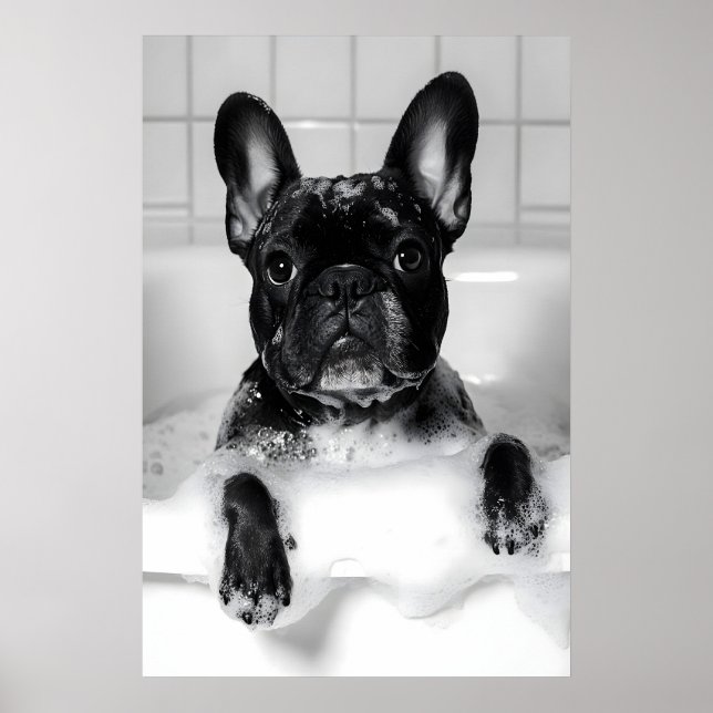 Poster French Bulldog Bubble Bath Print, Funny Dog (Frente)
