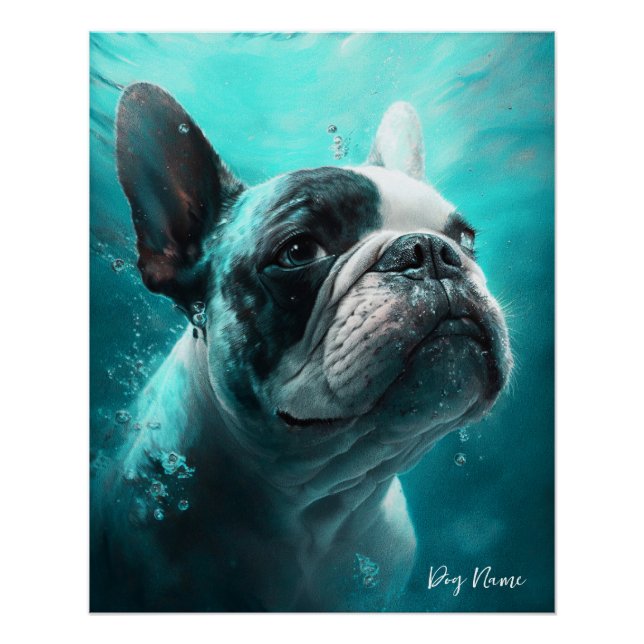 Pôster French Bulldog swimming in water 011 (Frente)