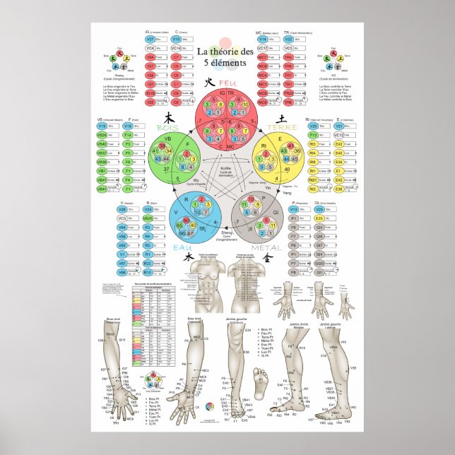 Poster French Five Elements Acupuncture (Frente)