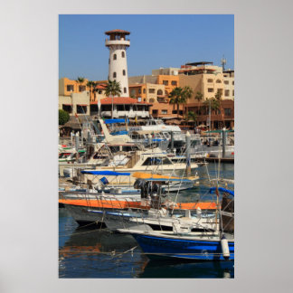 Pôster Frente d'água do porto em Cabo San Lucas