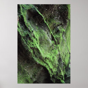 Poster Frequente o momento