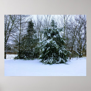 Poster fresco da neve do inverno