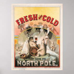 Poster Fresco e frio - Cerveja direta do Polo Norte