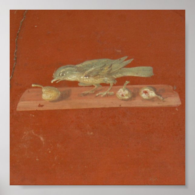 Poster Fresco, Villa Oplontis (Frente)