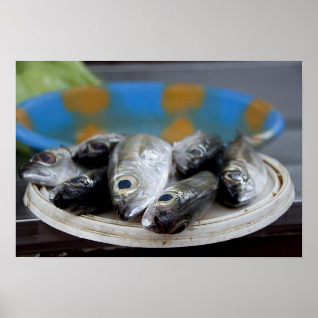 Poster Fresh fish on fish market Mercado de Peixe), (Frente)