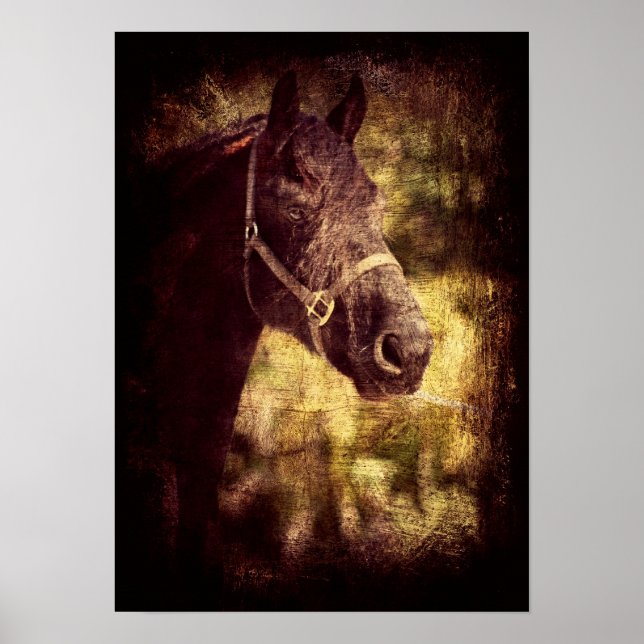 Pôster Fresian Grunge (Frente)