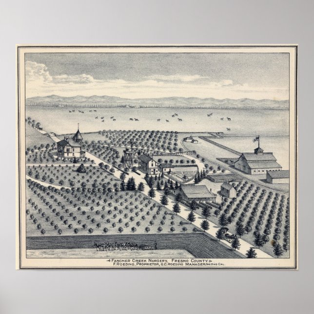 Pôster Fresno County, Califórnia 20 (Frente)