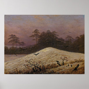 Poster Friedrich - Gaiola De Neve Com Raven