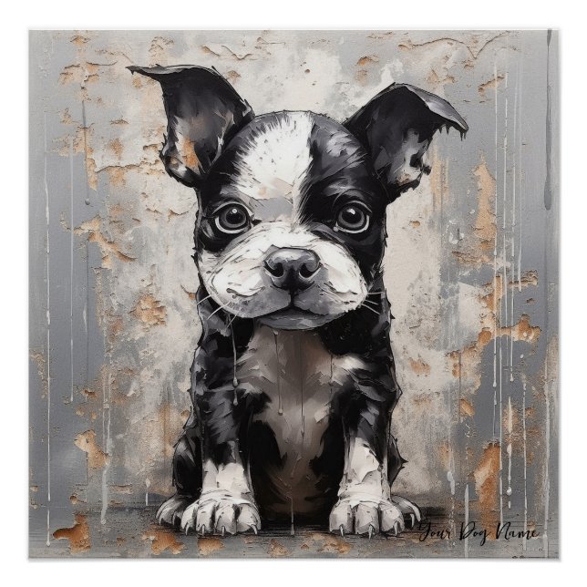 Pôster Friendly Boston Terrier Puppy Dogs 005 - Raimon P (Frente)
