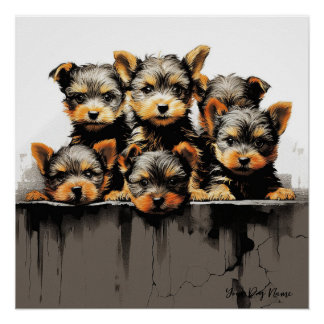 Pôster Friendly Yorkshire Terrier Puppy Dogs 001 - Raimo