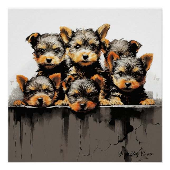 Pôster Friendly Yorkshire Terrier Puppy Dogs 001 - Raimo (Frente)