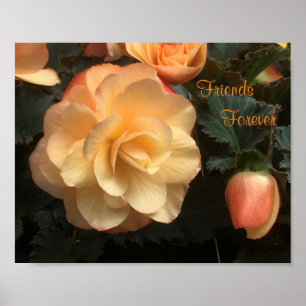 Poster Friends Forever