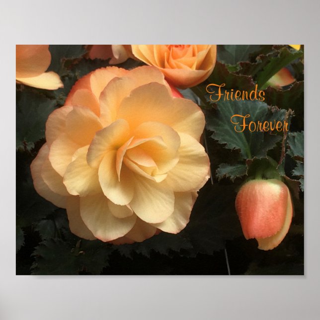 Poster Friends Forever (Frente)