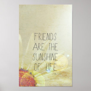 Pôster Friendship & Sunshine