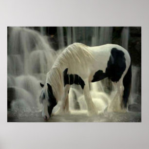 Poster Frison, Papel afixar (mate)