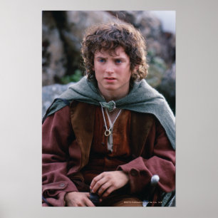 POSTER FRODO™