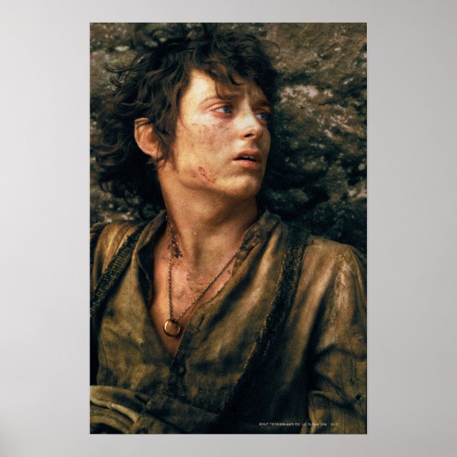 Poster FRODO™ in Despair (Frente)