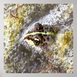 Poster Frog Immersed In Water Bubbles and Frogspawn