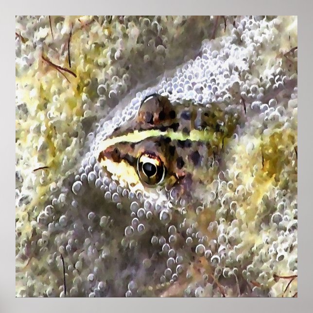 Poster Frog Immersed In Water Bubbles and Frogspawn (Frente)